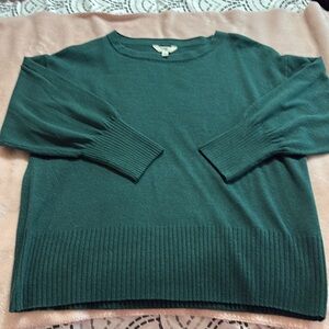 Terra & Sky Green Crew Neck Sweater size 1x